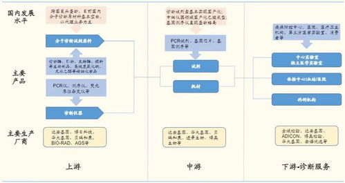 體外診斷3.0時(shí)代 分子診斷百花齊放，基礎(chǔ)軟件是決勝先機(jī)