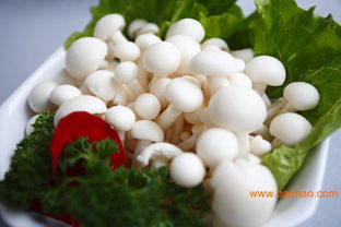 全國高性價(jià)比菌菇批發(fā)市場及產(chǎn)業(yè)鏈指南 從產(chǎn)地到回收價(jià)格解析
